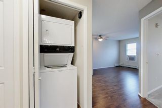 Photo 13: 325 56 Carroll Crescent: Red Deer Apartment for sale : MLS®# A2004382