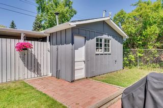 Photo 41: 712 MAPLETON Drive SE in Calgary: Maple Ridge Detached for sale : MLS®# A1018735