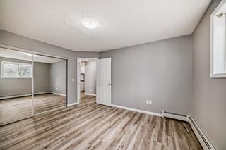 Photo 11: 101 11 Dover Point SE in Calgary: Dover Apartment for sale : MLS®# A2123034