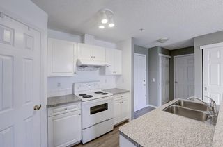 Photo 18: 319 290 Shawville Way SE in Calgary: Shawnessy Apartment for sale : MLS®# A2003821