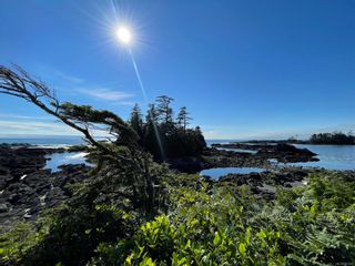 Photo 62: 1118 Sixth Ave in Ucluelet: PA Salmon Beach House for sale (Port Alberni)  : MLS®# 921210
