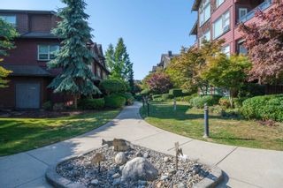 Photo 23: 105 240 SALTER Street in New Westminster: Queensborough Condo for sale in "Aragon" : MLS®# R2818987