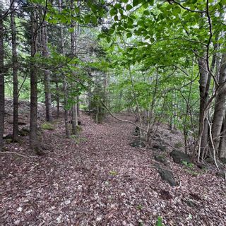 Photo 17: 15 Conquerall Road in Hebbs Cross: 405-Lunenburg County Vacant Land for sale (South Shore)  : MLS®# 202325145