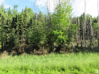Photo 3: RR 223 Twp Rd 612: Rural Thorhild County Rural Land/Vacant Lot for sale : MLS®# E4299650