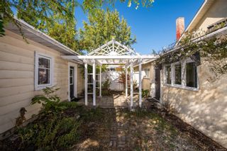 Photo 16: 951 Jasmine Ave in Saanich: SW Marigold House for sale (Saanich West)  : MLS®# 886878