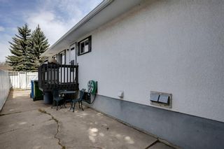 Photo 46: 8040 4A Street SW in Calgary: Kingsland Detached for sale : MLS®# A1220387