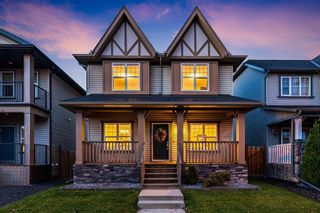Main Photo: 101 Elgin Meadows Circle SE in Calgary: McKenzie Towne Detached for sale : MLS®# A2121708
