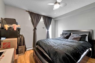 Photo 12: 303 1129 Cameron Avenue SW in Calgary: Lower Mount Royal Apartment for sale : MLS®# A2123648