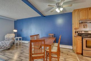 Photo 10: 306 315 Heritage Drive SE in Calgary: Acadia Apartment for sale : MLS®# A1090556