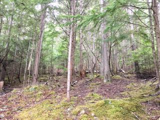 Photo 10: 3,4,6 Armstrong Road in Eagle Bay: Vacant Land for sale : MLS®# 10133907
