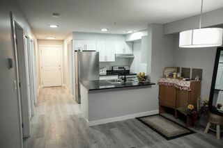 Photo 2: 117 7130 80 Avenue NE in Calgary: Saddle Ridge Apartment for sale : MLS®# A2122050