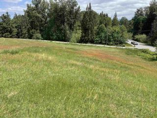 Photo 5: 32383 DOWNES ROAD in Abbotsford: Vacant Land for sale : MLS®# C8057312