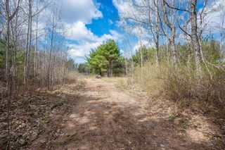 Photo 8: Lot 2021 Central Avenue in Greenwood: Kings County Vacant Land for sale (Annapolis Valley)  : MLS®# 202407909