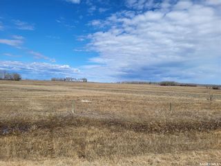 Photo 13: Radisson 158 acres Pastureland (Que) in Great Bend: Farm for sale (Great Bend Rm No. 405)  : MLS®# SK965878