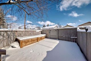 Photo 42: 58 Erin Woods Court SE in Calgary: Erin Woods Row/Townhouse for sale : MLS®# A2117372
