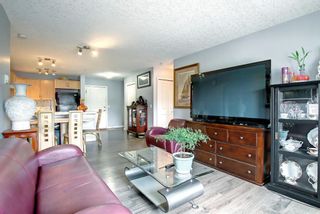 Photo 22: 124 8200 4 Street NE in Calgary: Beddington Heights Apartment for sale : MLS®# A2017788