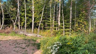 Photo 6: 4319 Gairloch Road in Union Centre: 108-Rural Pictou County Vacant Land for sale (Northern Region)  : MLS®# 202222418