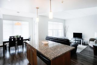 Photo 3: 304 25 Amy Street in Winnipeg: Exchange District Condominium for sale (9A)  : MLS®# 202011118