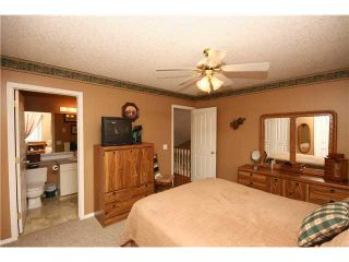 Photo 16: 37 CANOE Circle SW: Airdrie Residential Detached Single Family for sale : MLS®# C3561541