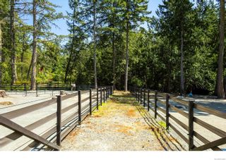 Photo 21: 1386 Wain Rd in North Saanich: NS Deep Cove House for sale : MLS®# 933896