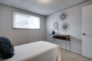 Photo 18: 43 Doverdale Mews SE in Calgary: Dover Row/Townhouse for sale : MLS®# A1052608