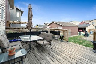 Photo 26: 22 Auburn Bay Manor SE in Calgary: Auburn Bay Detached for sale : MLS®# A1218257