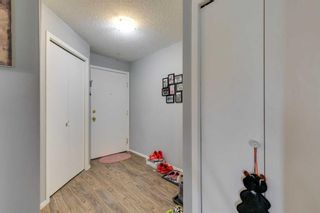Photo 2: 219 3000 Citadel Meadow Point NW in Calgary: Citadel Apartment for sale : MLS®# A2130196
