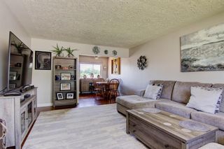 Photo 12: 5924 Buckthorn Road NW in Calgary: Thorncliffe Detached for sale : MLS®# A1237532