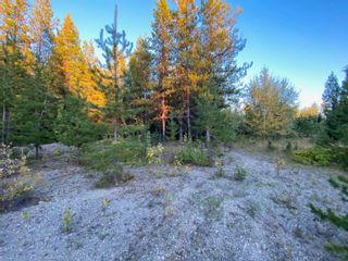 Photo 8: N1/2of DL7871 TAKLA FOREST Road in Prince George: Nechako Ridge Land for sale in "McPhee Road" (PG City North)  : MLS®# R2768067