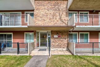 Photo 3: 88E 231 Heritage Drive SE in Calgary: Acadia Apartment for sale : MLS®# A2132710
