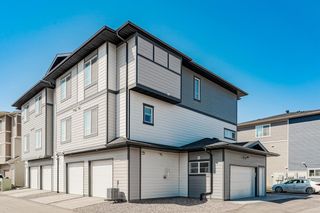 Photo 25: 302 95 Skyview Close NE in Calgary: Skyview Ranch Row/Townhouse for sale : MLS®# A2045733