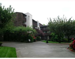 Photo 9: 206 9867 MANCHESTER Drive in Burnaby: Cariboo Condo for sale in "BARCLAY WOODS" (Burnaby North)  : MLS®# V709769