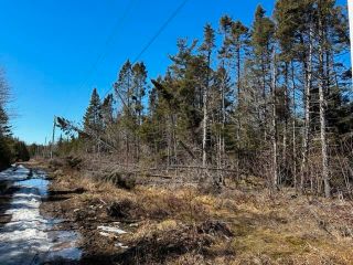 Main Photo: Lot R-8 Road in New Chester: 303-Guysborough County Vacant Land for sale (Highland Region)  : MLS®# 202405530