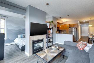Photo 21: 302 208 Holy Cross Lane SW in Calgary: Mission Apartment for sale : MLS®# A2108851