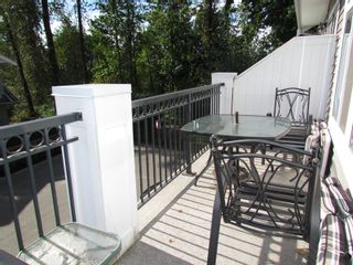 Photo 11: #110 20449 66TH AVE in LANGLEY: Willoughby Heights Townhouse for rent in "NATURE'S LANDING" (Langley) 