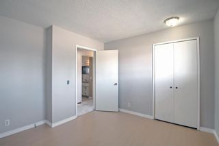 Photo 17: 11 Maryvale Place NE in Calgary: Marlborough Detached for sale : MLS®# A1207159