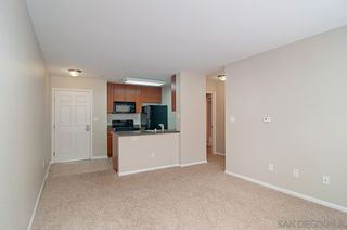 Photo 8: DOWNTOWN Condo for rent : 1 bedrooms : 1435 India St #315 in San Diego