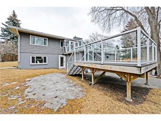 Photo 29: 8 LORNE Place SW in Calgary: North Glenmore Park House for sale : MLS®# C4052972