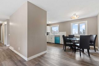 Photo 4: 244 Dovely Place SE in Calgary: Dover Detached for sale : MLS®# A2132664