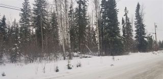 Photo 4: LOT 2 S MCBRIDE TIMBER Road in Prince George: Upper Mud Land for sale (PG Rural West (Zone 77))  : MLS®# R2543587