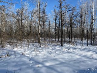 Photo 3: 15 Poplar Street in Roseau River: Vacant Land for sale : MLS®# 202401065