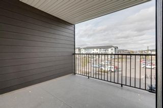 Photo 30: 322 355 Taralake Way NE in Calgary: Taradale Apartment for sale : MLS®# A1040553