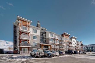 Photo 3: 7216 302 Skyview Ranch Drive NE in Calgary: Skyview Ranch Apartment for sale : MLS®# A2021326