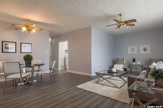 Photo 8: 213 R Avenue North in Saskatoon: Mount Royal SA Residential for sale : MLS®# SK955235