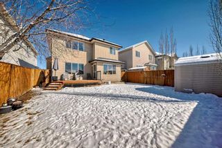 Photo 32: 291 Evanston View NW in Calgary: Evanston Detached for sale : MLS®# A2119232