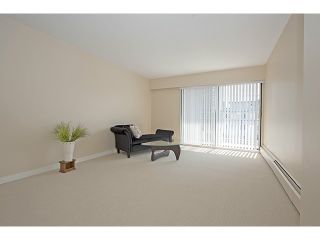 Photo 6: 205 505 NINTH Street in New Westminster: Uptown NW Condo for sale in "Fraser View Apartments" : MLS®# V1024071