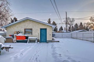 Photo 40: 1524 49 Street in Calgary: Forest Lawn Detached for sale : MLS®# A2102223