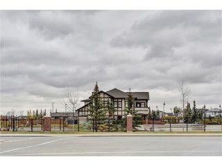 Photo 48: 43 BRIGHTONSTONE Grove SE in Calgary: New Brighton House for sale : MLS®# C4085071