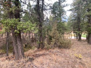 Photo 8: Lot 4 CROOKED TREE PLACE in Fairmont Hot Springs: Vacant Land for sale : MLS®# 2468003