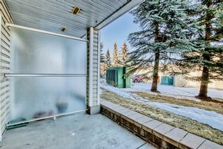 Photo 13: 120 260 Shawville Way SE in Calgary: Shawnessy Apartment for sale : MLS®# A2034351